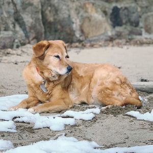 Meet your Posher, Robyn